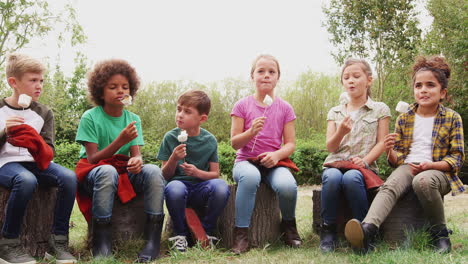 group of children on outdoor activity camping trip eating marshmallows around camp fire together