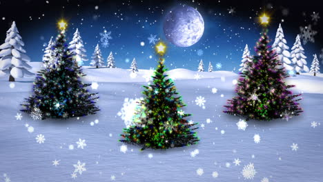 Christmas-trees-growing-in-snowy-landscape