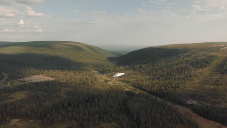 flying over a forest in the swedish mountains in the summer time