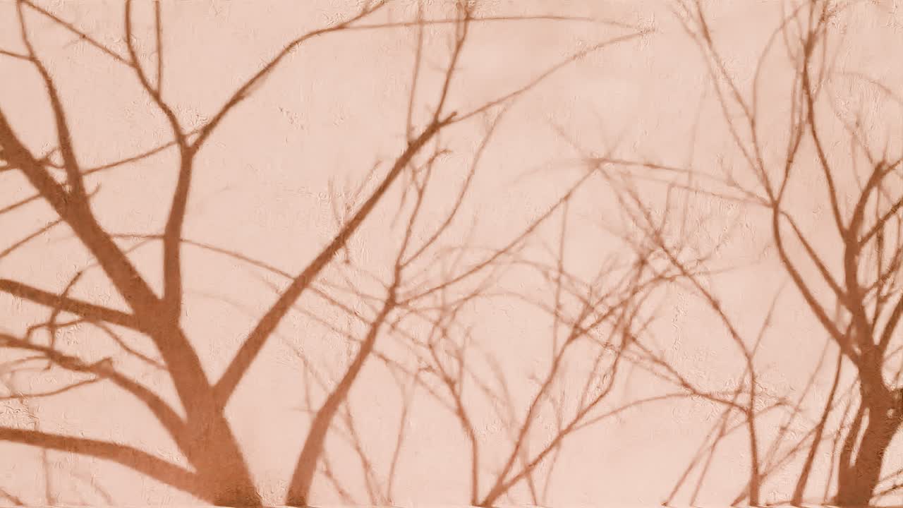 Ombre di rami di albero su parete beige texturizzata. Design naturale con silhouette