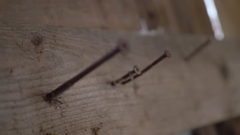 close up on old nails and screws planted in a wooden plank with a lot of blur