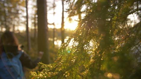 woman goes by the camera pushing bushes away from camera with sun rays in the evening