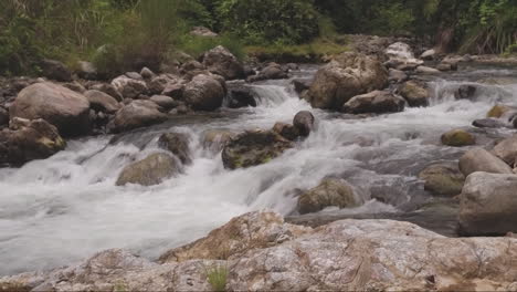 river and rocks in the jungle