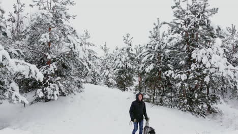 a man walks with a siberian husky in the winter forest