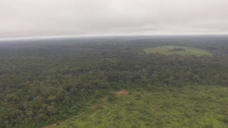 Volando-Sobre-El-Bosque-De-Nanga,-Se-Pueden-Ver-Grandes-áreas-Vacías-Donde-Alguna-Vez-Estuvieron-Los-árboles