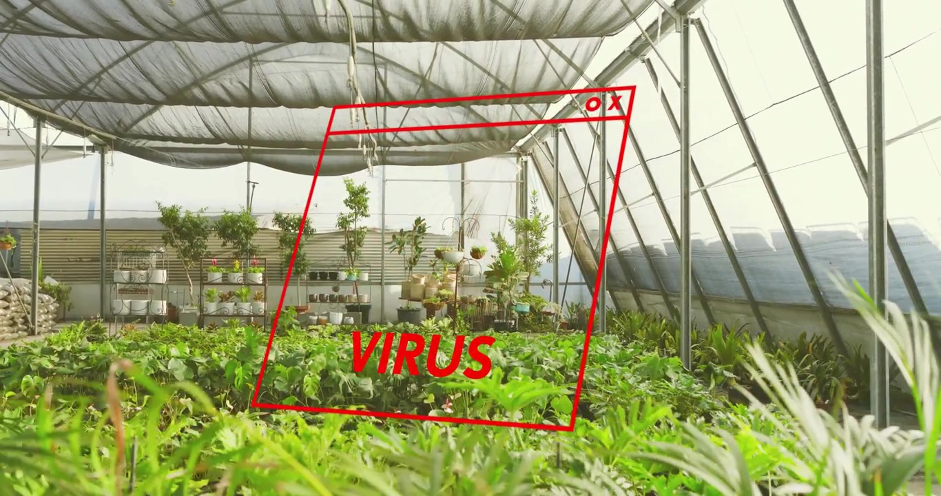 Plantas de invernadero inmóviles hasta que una ventana de advertencia de virus roja se inclina y parpadea, señalando una amenaza.