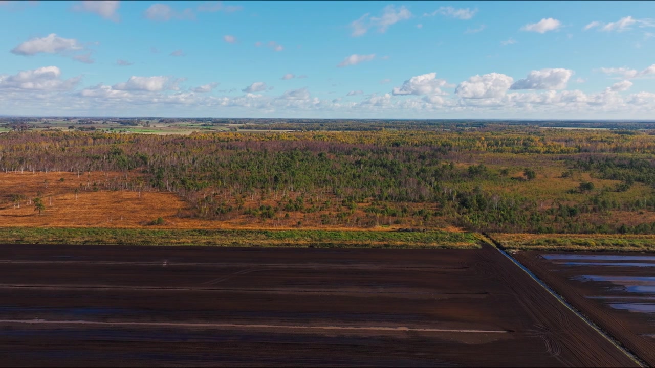 Drone glissant vers la gauche au-dessus de la réserve naturelle du marais de Kirbas à Rucava, Lettonie, en automne.