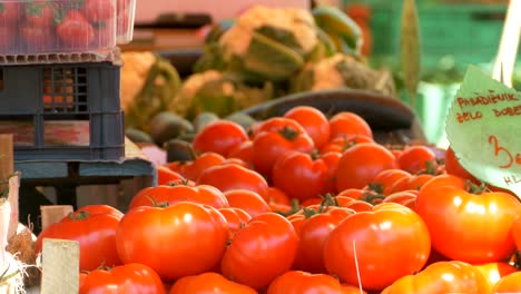 organic tomatoes in farmer market