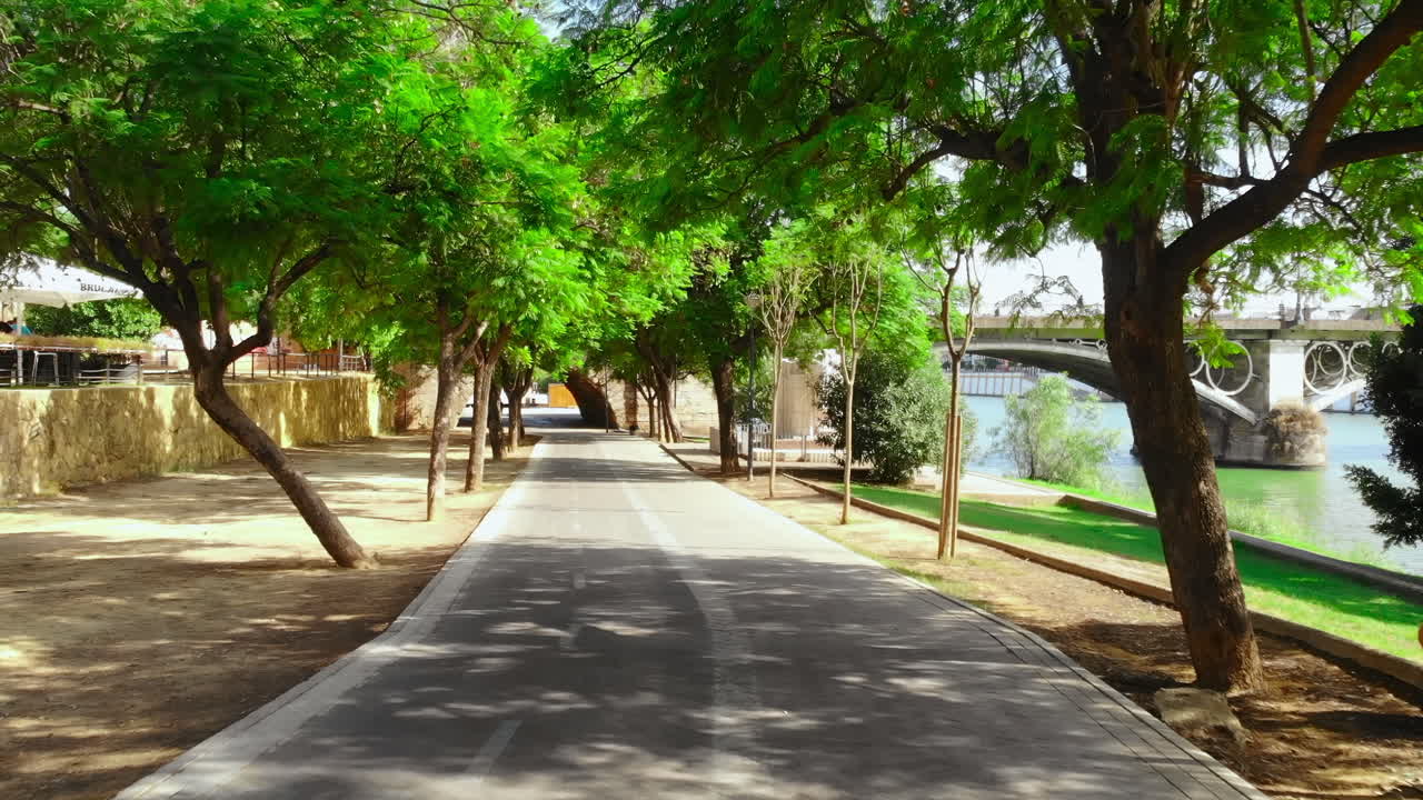 Sendero con árboles y puente