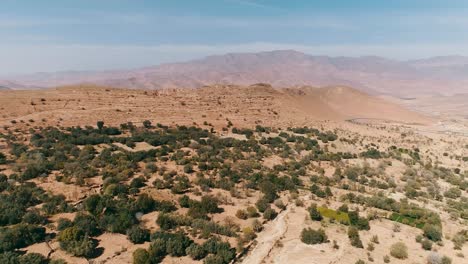 aerial panorama of growing bush trees on dry desert with mountain range in background during foggy sunny day in morocco,africa