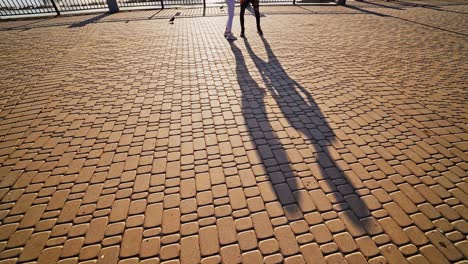couple in love having fun in city. sweet couple having fun and dancing together outdoors