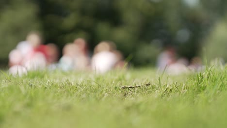 defocused and unrecognizable family relaxing in the green park - concept of picnic, summer, friendship