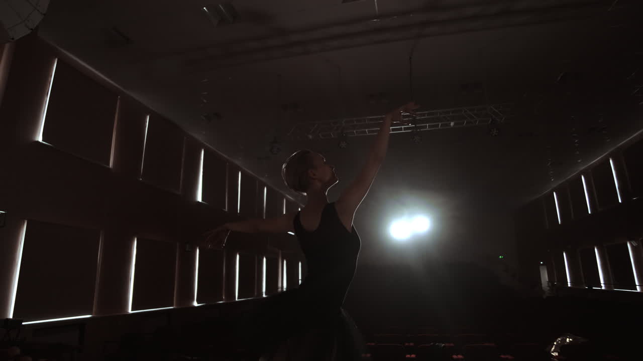 movimento lento: primo piano delle gambe della ballerina nelle punte e movimento liscio della telecamera lungo l'asse verticale. ritratto di una ballerina