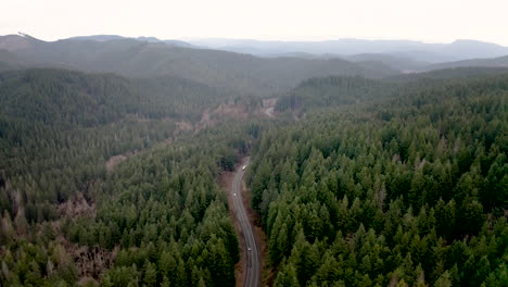 aerial view of a winding road through a dense evergreen forest