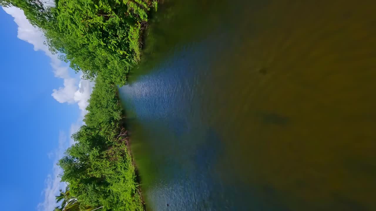 Vertical fpv flight over exotic river surrounded by forest and palm trees during sunny in ARROYO SALADO
