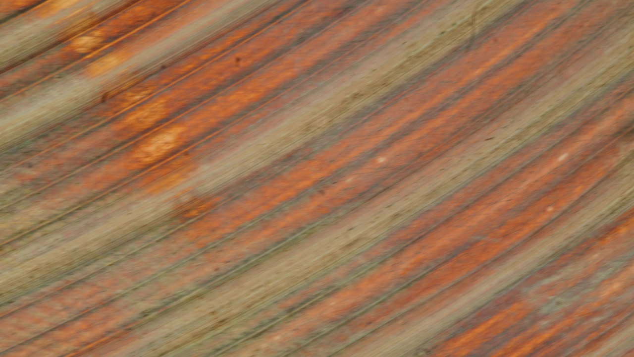 Rusty Corrugated Metal Texture