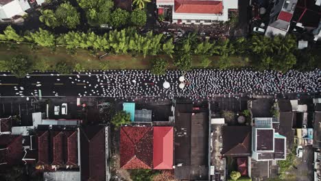 aerial top down of balinese indonesian people walking on the street of bali for a traditional hindu ceremony