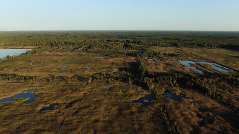 Beautiful-wetlands-and-peat-bog-of-Lithuania-with-massive-forest-in-horizon,-aerial-side-flying-view