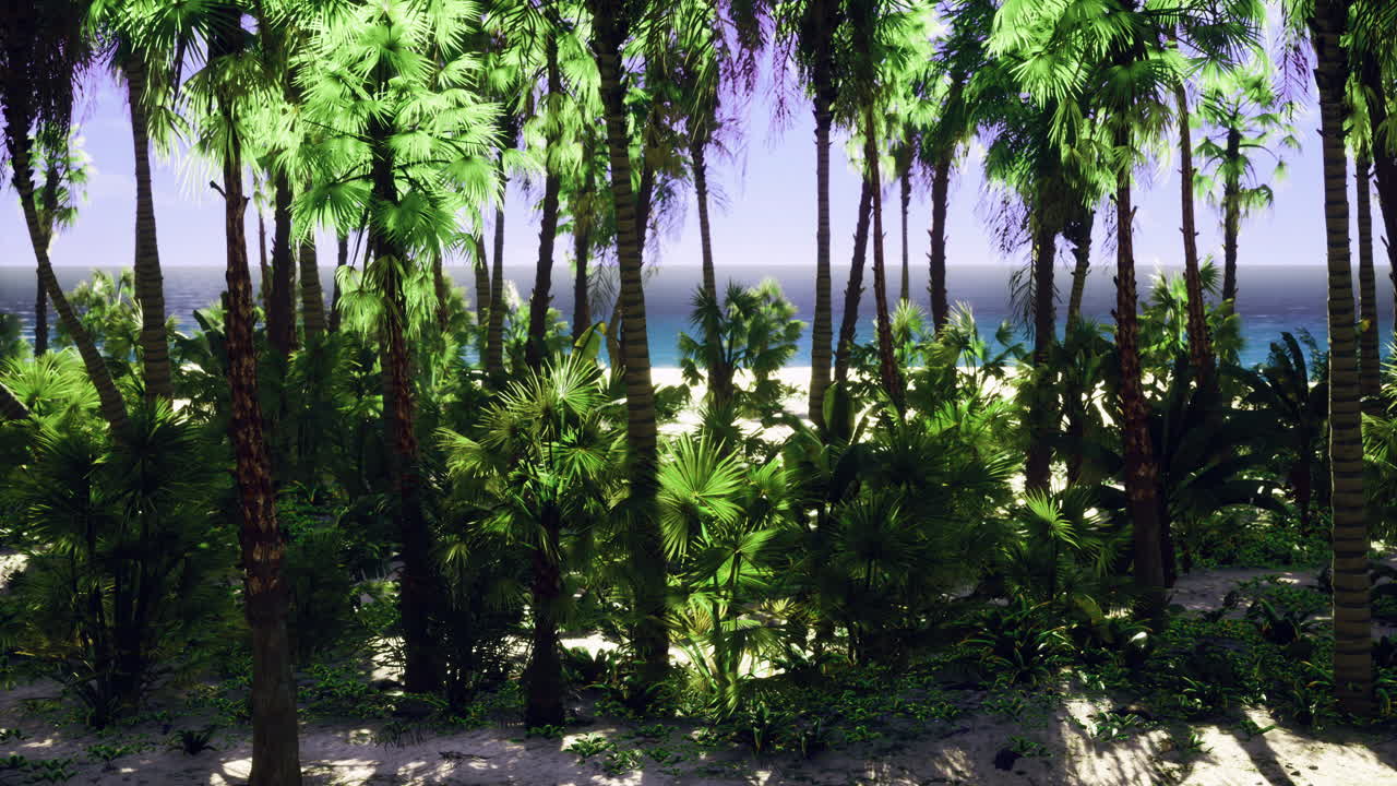 Lush tropical forest with ocean view under brilliant sunlight in daytime