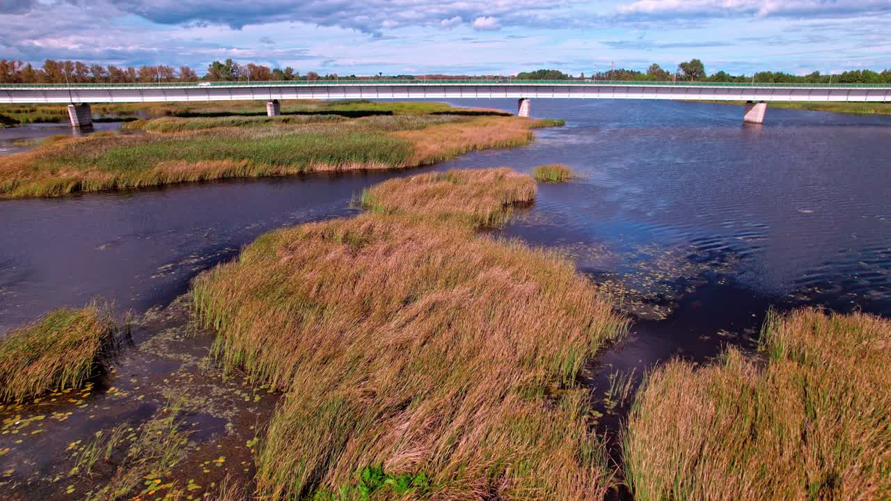 Scenic aerial view of a river delta with tall grasses in Latvia