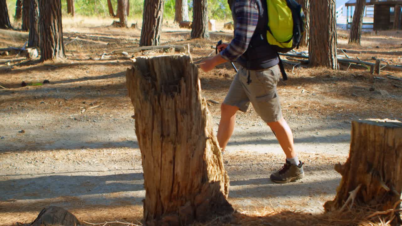 Male hiker walking in the forest 4k