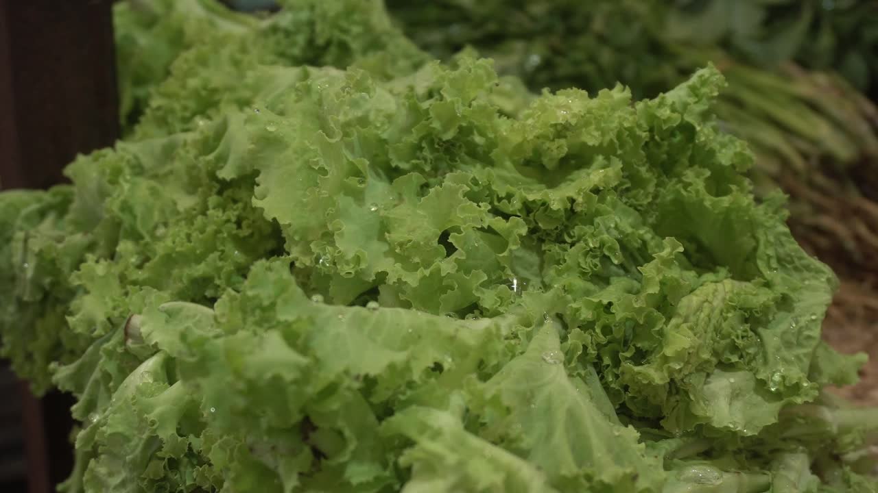 la lechuga es una ensalada de verduras para uso