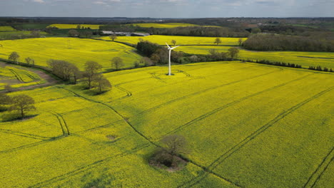 aerial view of bright yellow rapeseed crops in fields in worcestershire, england