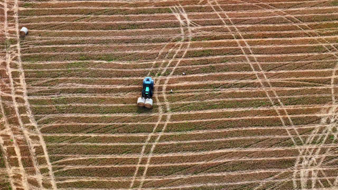 Blue tractor baling hay on patterned farmland with visible tire tracks