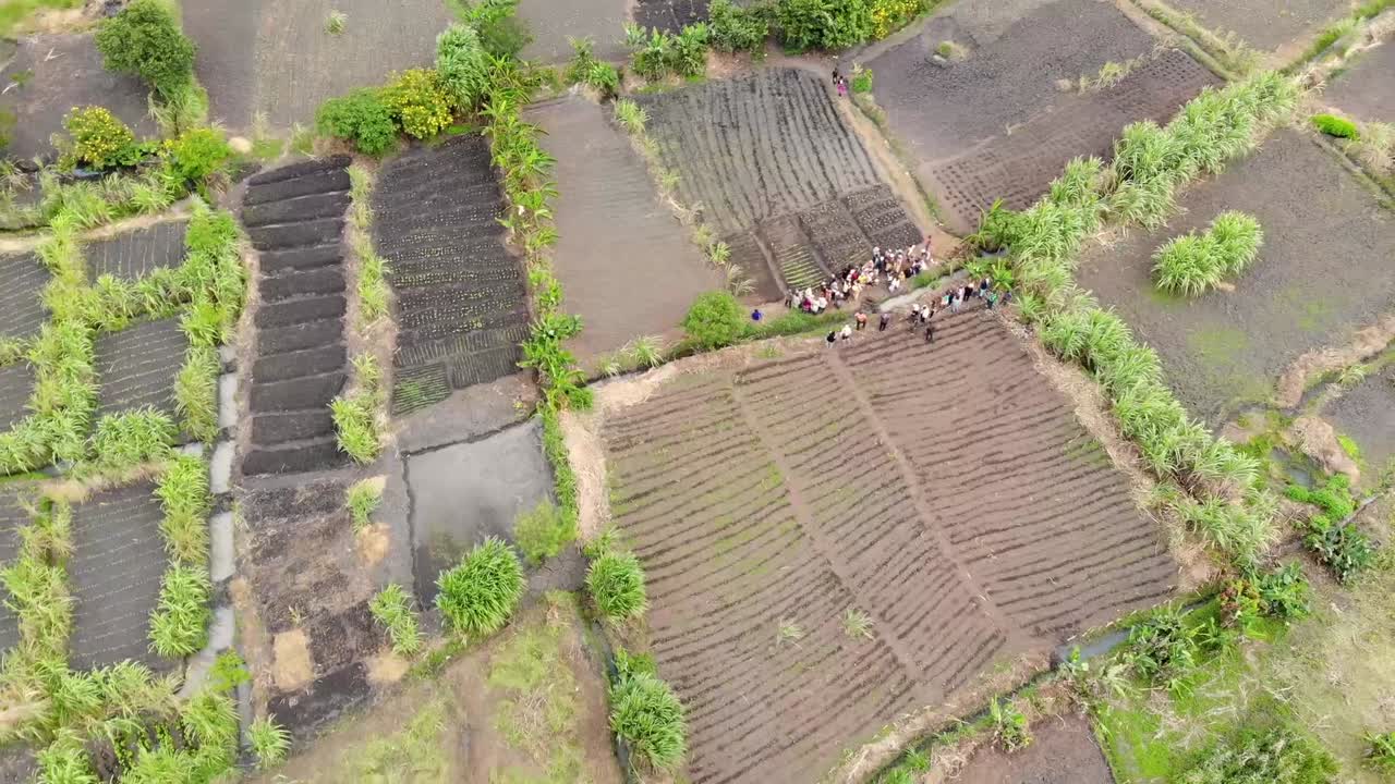 아프리카 말라위의 감자와 옥수수 농장, 사람들이 일하기 위해 모입니다.