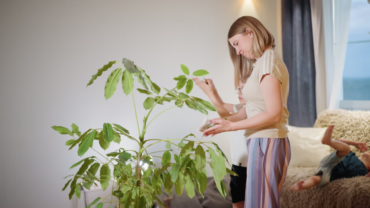 Mother and son cleaning green houseplant leaves indoors together, wiping foliage with tissue, nurturing healthy plant, practicing responsibility, mindfulness, bonding activity, connecting with nature