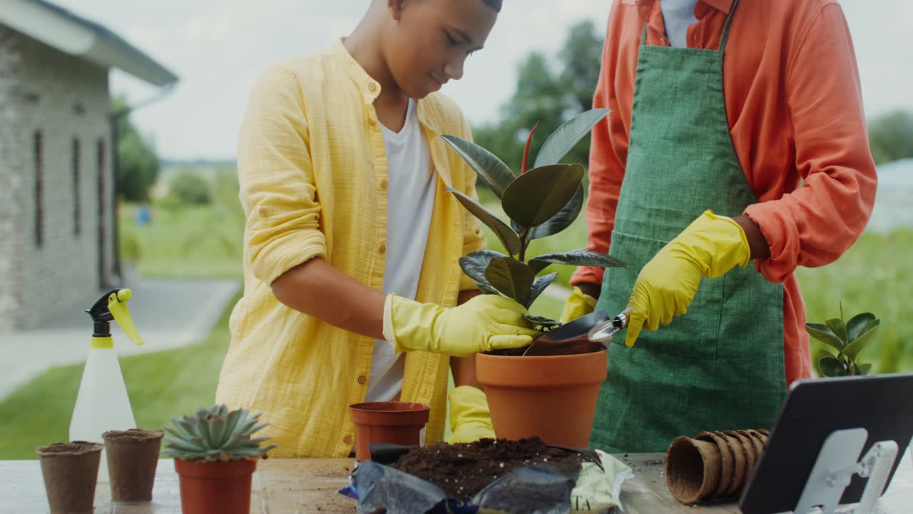 padre e hijo plantando un árbol juntos
