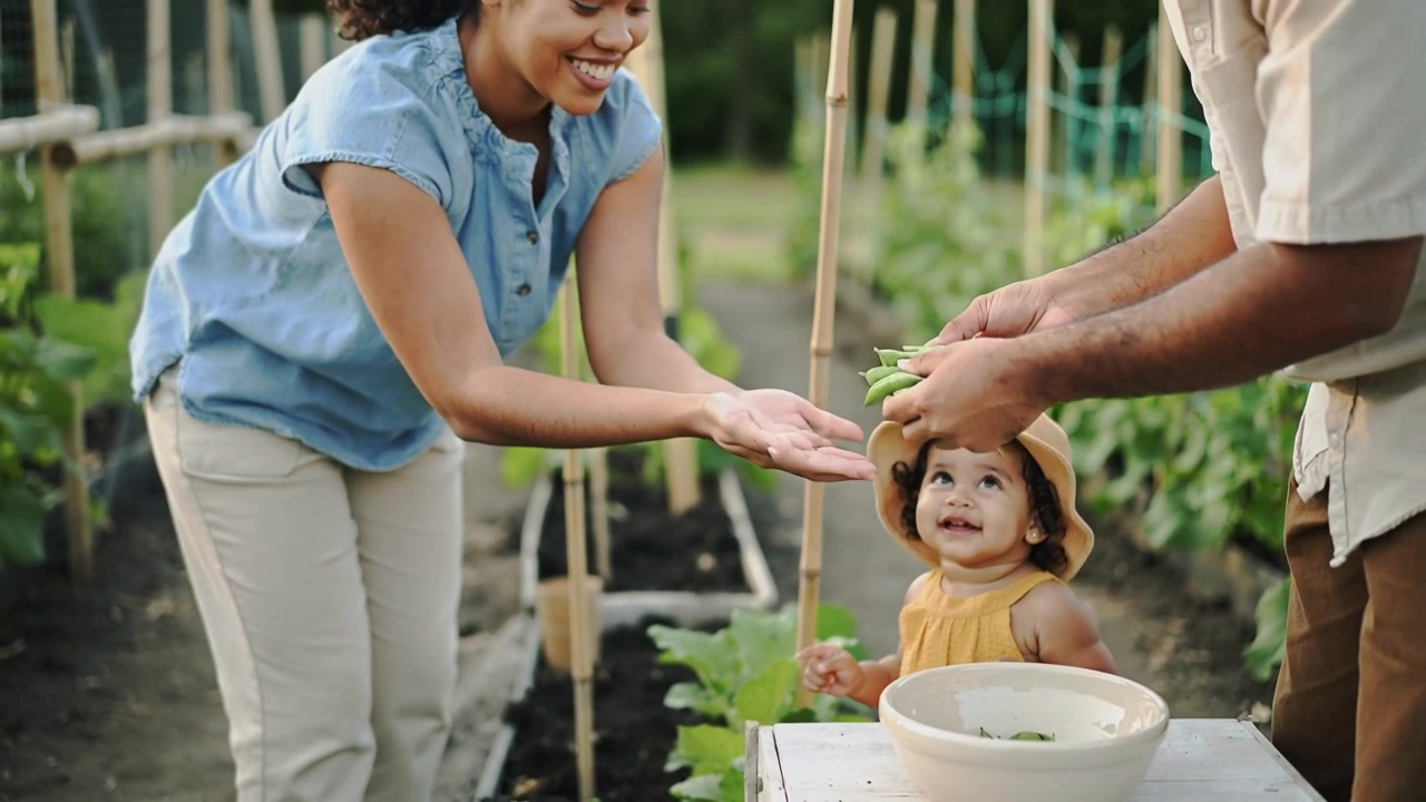 Offering woman in denim holding pods in backyard, partner reaching and placing pods into white bowl