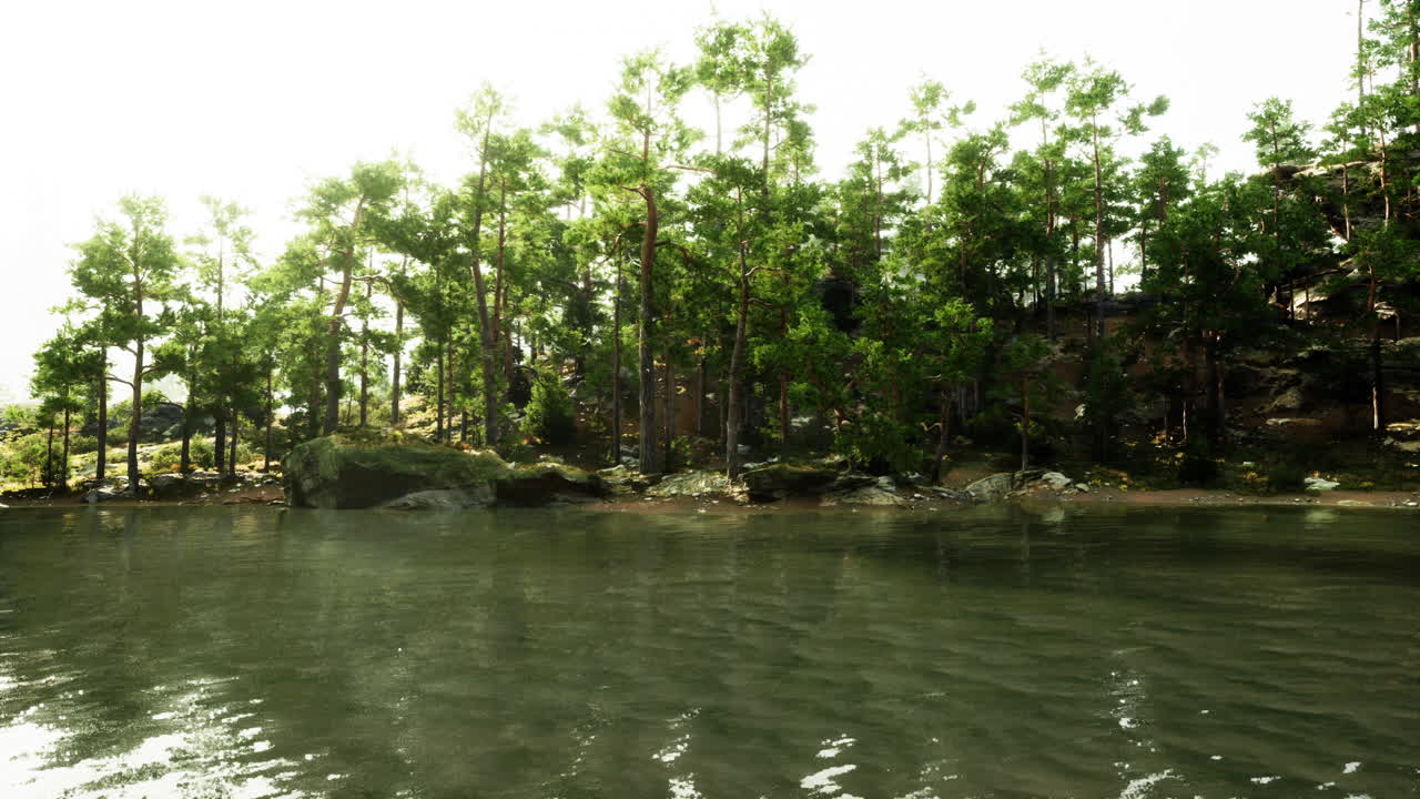 조용한 숲 호수