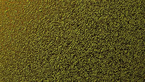animación 3d de la superficie de grunge verde textura de grano movimiento de bucle de movimiento rápido. patrones de textura 4k fondo de movimiento. fondo abstracto bucle sin costuras elemento oxidado granulado textura fondo de movimiento rápido