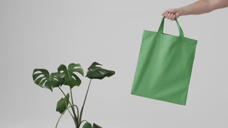 la mano de una mujer caucásica sosteniendo una bolsa verde con una planta en fondo blanco, copia el espacio, cámara lenta.