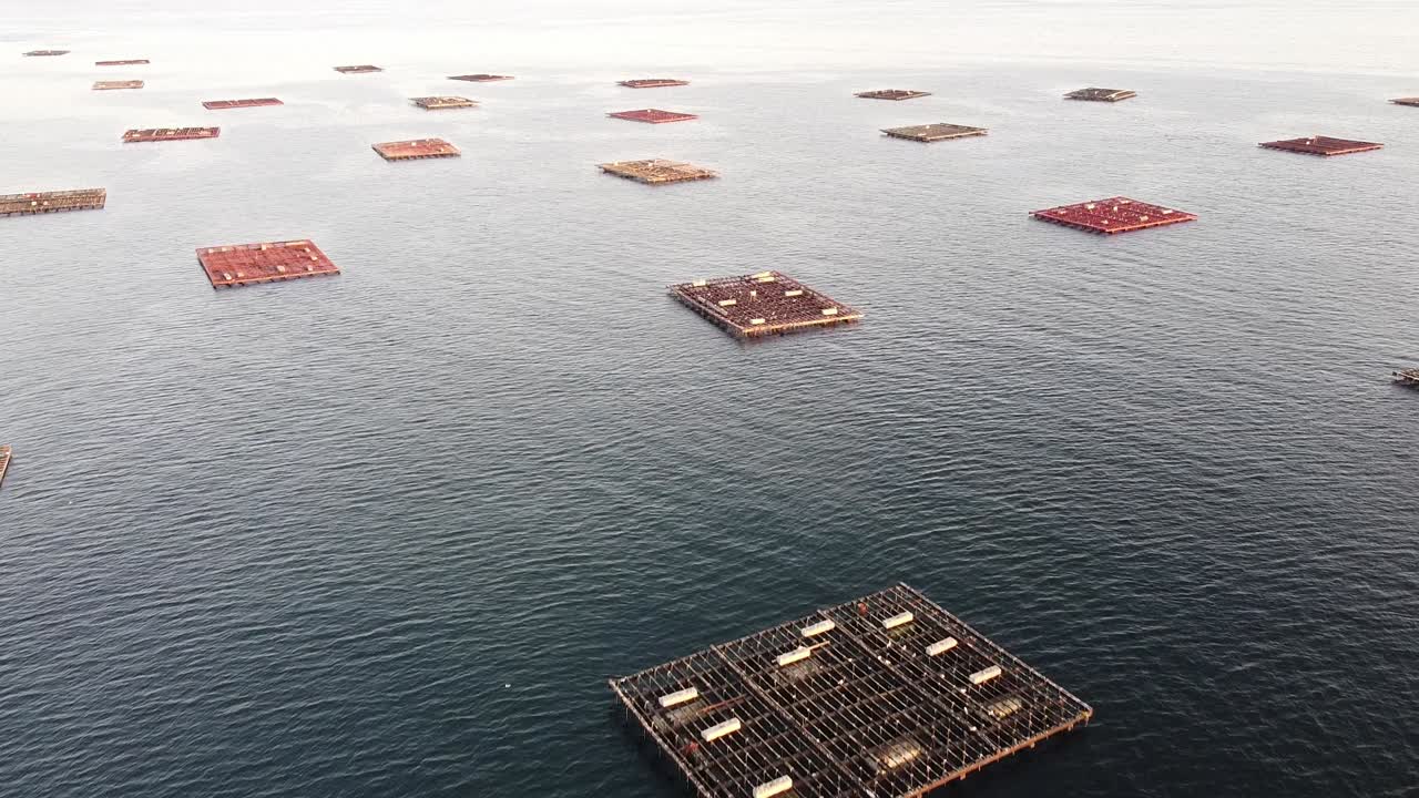 바다에 있는 어류 농장 케이지