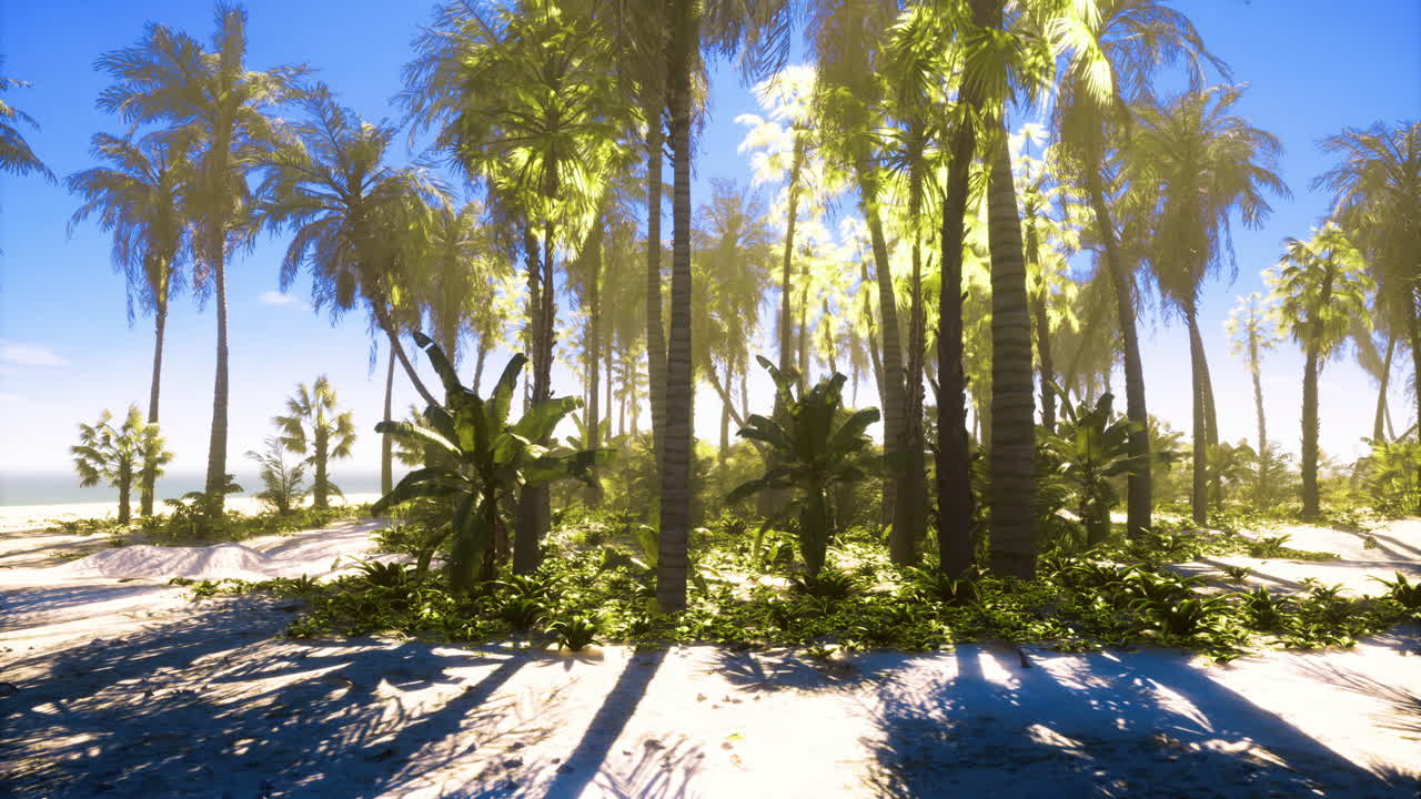 Sunny tropical landscape features lush palm trees and sandy beach ...