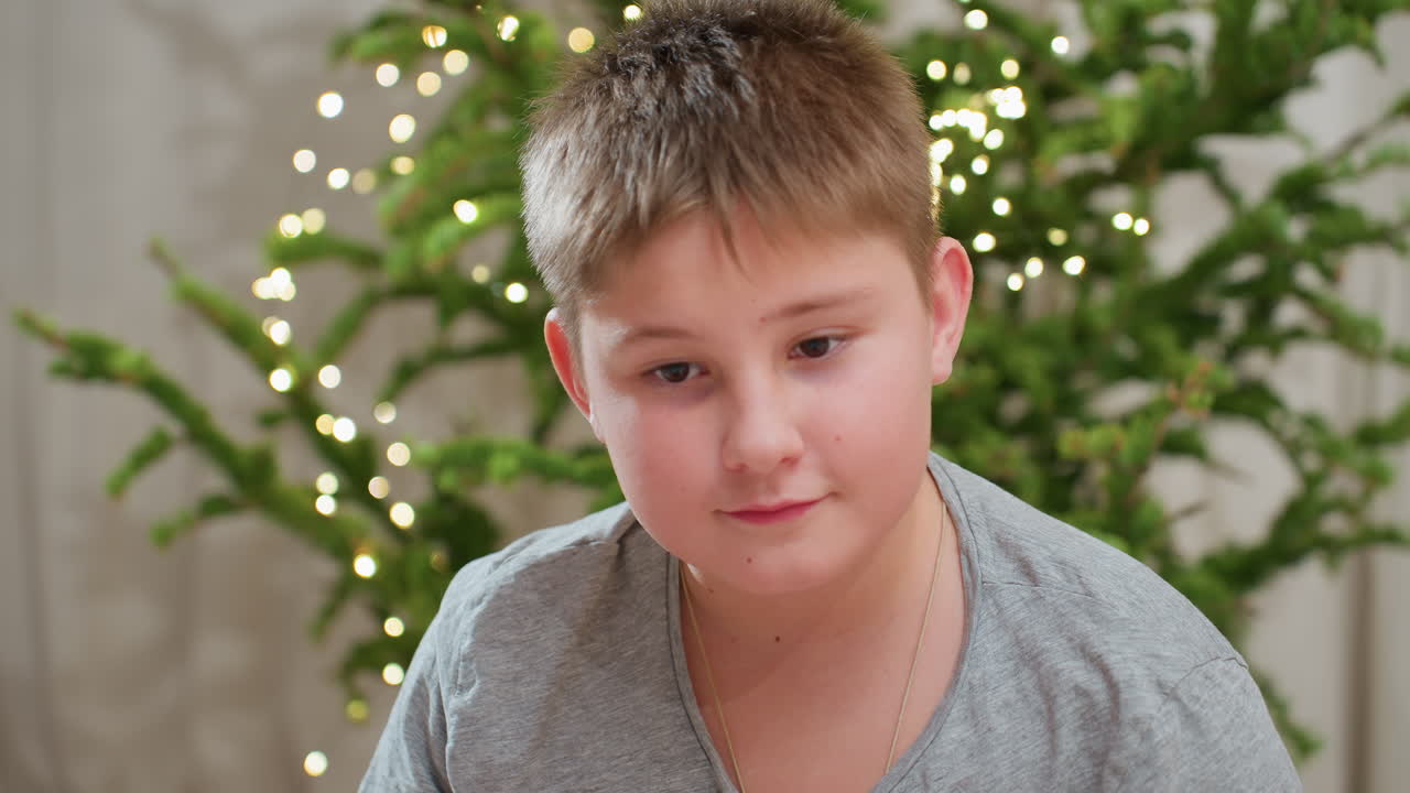 Close view of cheerful boy sitting on floor holding fluffy brown puppy in cozy room decorated with Christmas lights and festive tree, looking at camera with gentle smile, relaxed atmosphere indoors