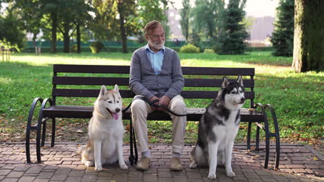 pet owner with his dogs