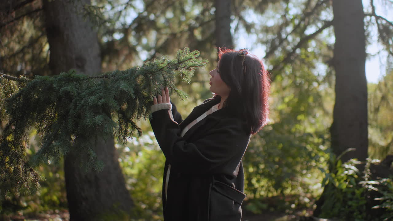 Primer plano de una mujer elegante sosteniendo una rama de pino, admirando las hojas bajo la luz del sol de otoño, pose delicada, bosque, follaje bokeh suave, ambiente tranquilo, vínculo sereno con la naturaleza capturado durante un paseo silencioso