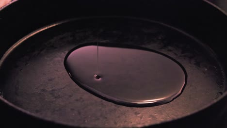 closeup kitchen view: oil poured into cast iron pan in dim lighting