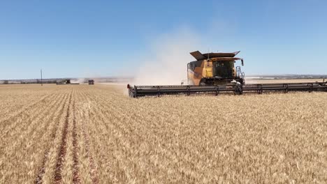 this footage captures the synergy of modern agricultural technology, showcasing the essential role of header fronts in the wheat harvesting process