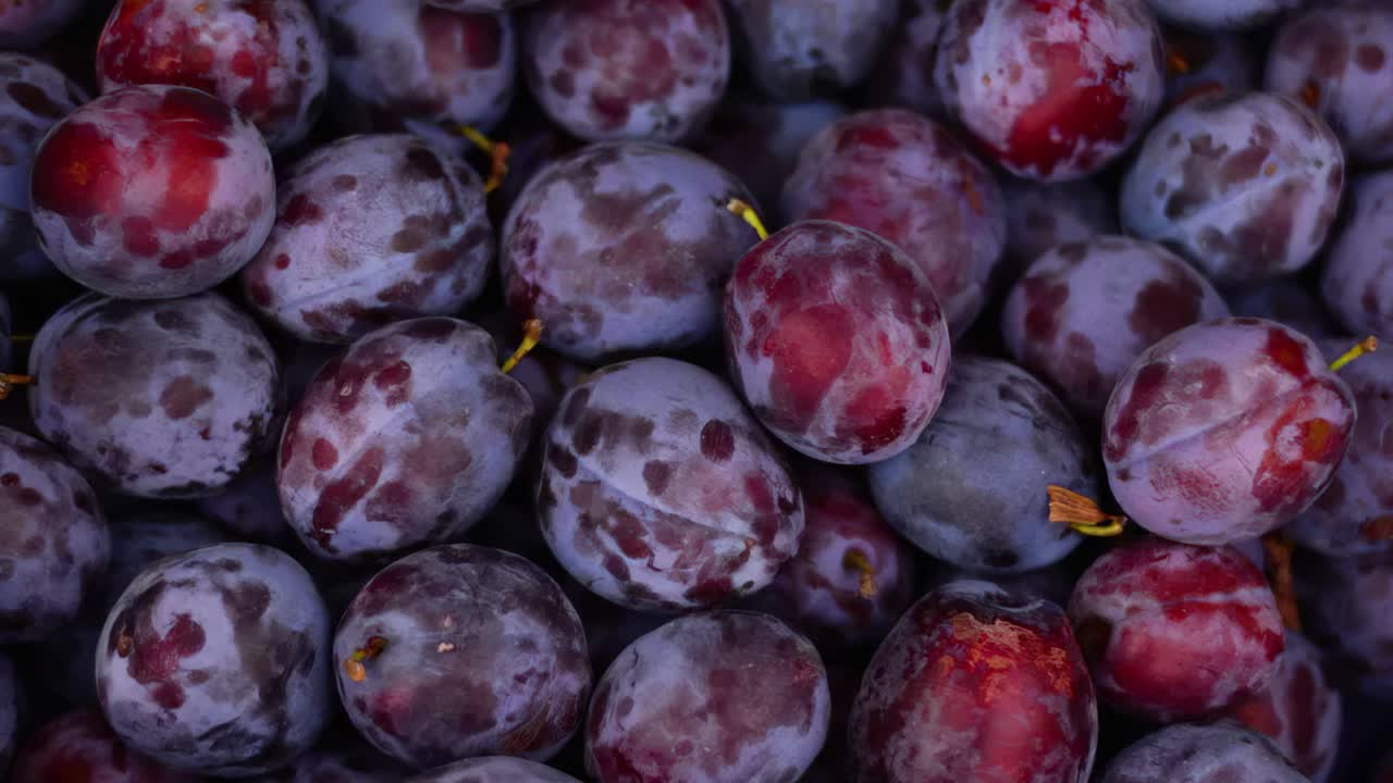 Fresh Plums in Rotation as Background