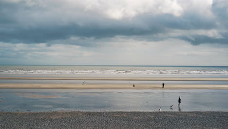 Playa-De-Marea-Fría-De-Primavera-Con-Niños-Jugando-Y-Paseando-Perros