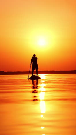 male silhouette rowing with a puddle approaching the camera. sup boarding on the river at sunset. vertical video