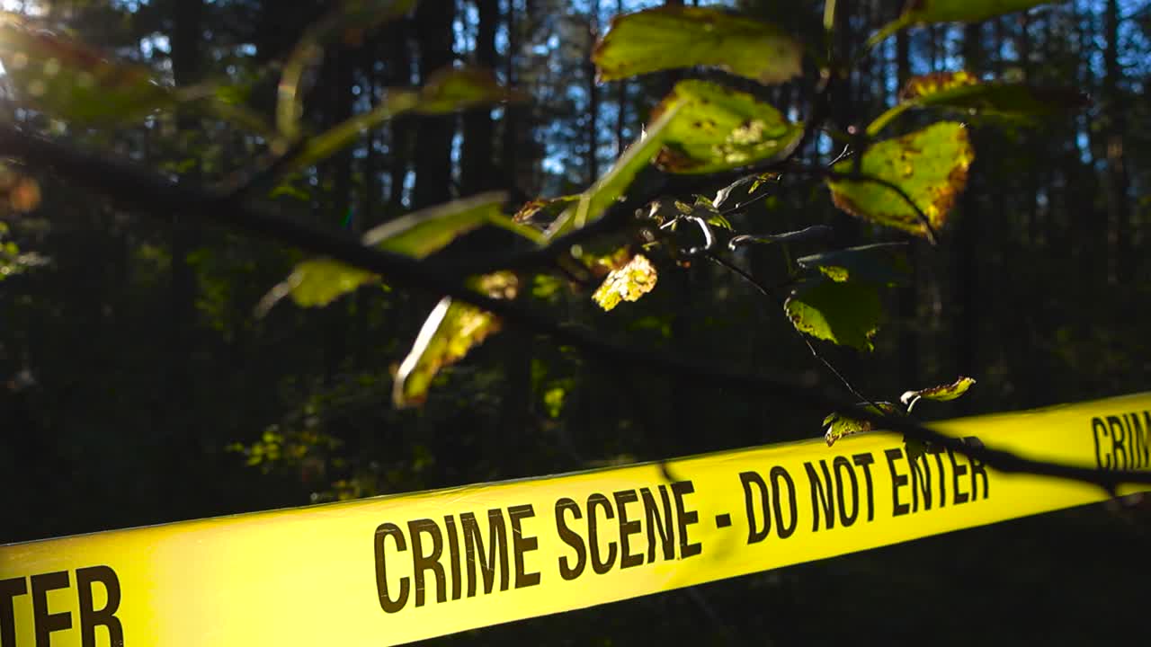 Gorgeous video of sunlight backlighting a yellow colored police line crime scene tape ribbon in a forest thats is viewed from behind some tree branches. sun rays and lense flare visible in the front