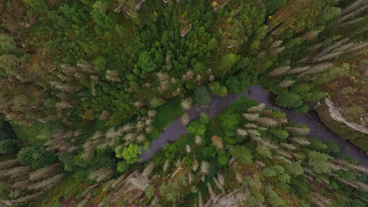 Frodig grøn natur og Dolsky mlyn vandmølle ved Kamenice-floden, Tjekkiet.