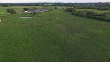 Country-side-panoramic-landscape-in-summer-time-from-above-and-ground-with-hay-rolls-and-roads