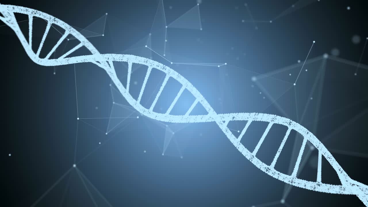 DNA e plesso su sfondo blu. Animazione in loop.