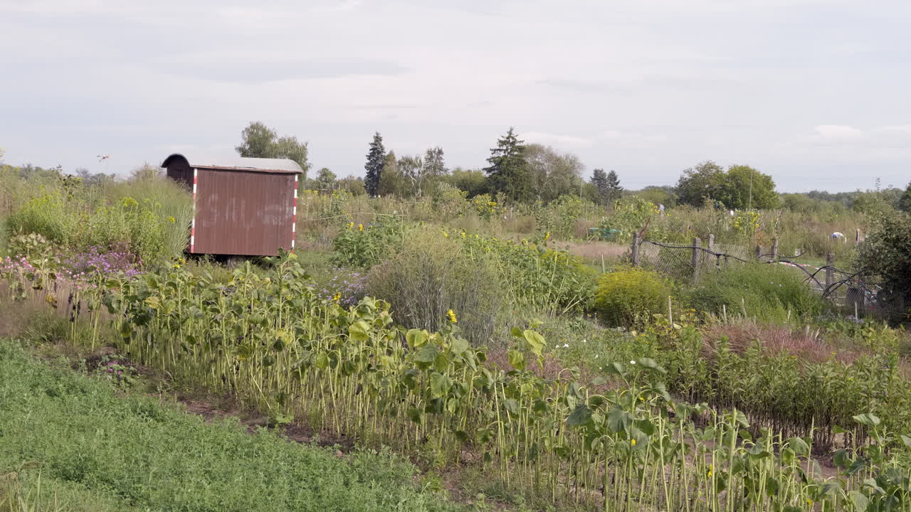 oberfeld, 다름슈타트, 헤센, 독일 흐린 날